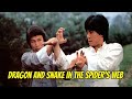 Wu Tang Collection Dragon And Snake In The Spider S Web ESPAÑOL Subtitulado