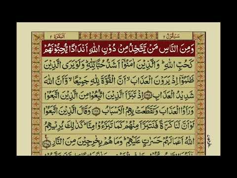 QURAN PARA 2 JUST/ONLY Arabic heat touching |surah Al-BAQARAH Urdu translation |text in Urdu / Hindi