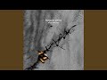 Bugs In Veins