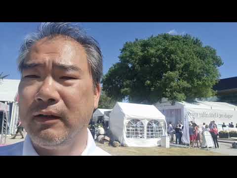 OSS vd Robert Dimmlich i Almedalen 2022