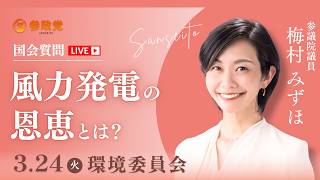 【国会中継】「風力発電の恩恵とは？」 参議院議員 梅村みずほ 国会質疑 令和8年3月24日 参政党