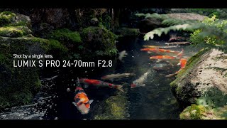 Video 0 of Product Panasonic Lumix S Pro 24-70mm F2.8 Full-Frame Lens (2019)