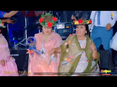 Te Sigo Amando  -  "  ECLIPSE EN VIVO  2025  "   ( Cover )  L.  y  M. = Luis Álvarez