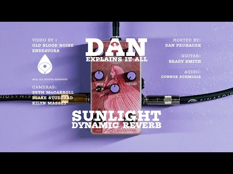 Old Blood Noise Endeavours Sunlight Dynamic Reverb Effects Pedal image 2