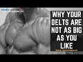 Top 10 Reasons Why Your Delts are Not as Big as You Like!