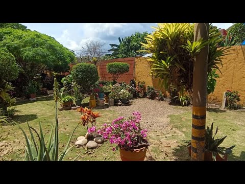 Venta de casa lote en Cabuyaro, Meta.