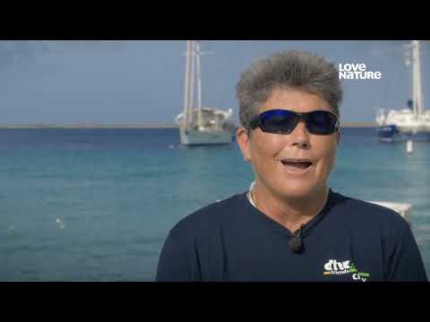 Roncsok a víz alatt S01E01 Full HD