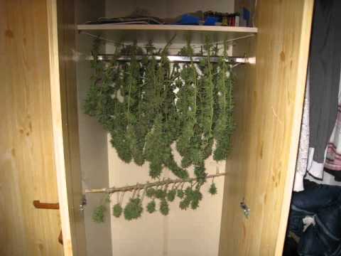 Rootsteppa - Harvest Dub