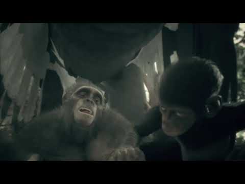 Ancestor's the h. o. EP. 1- Guidiamo un clan di ominidi