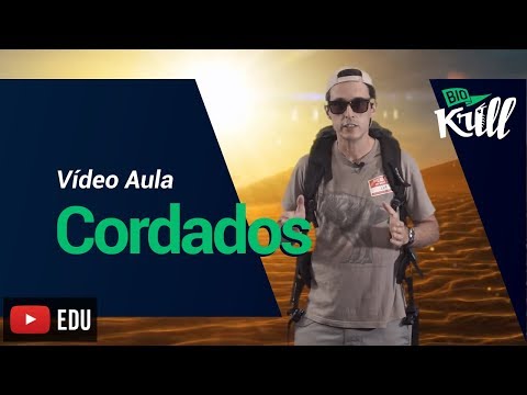 Cordados - Vídeo Aula