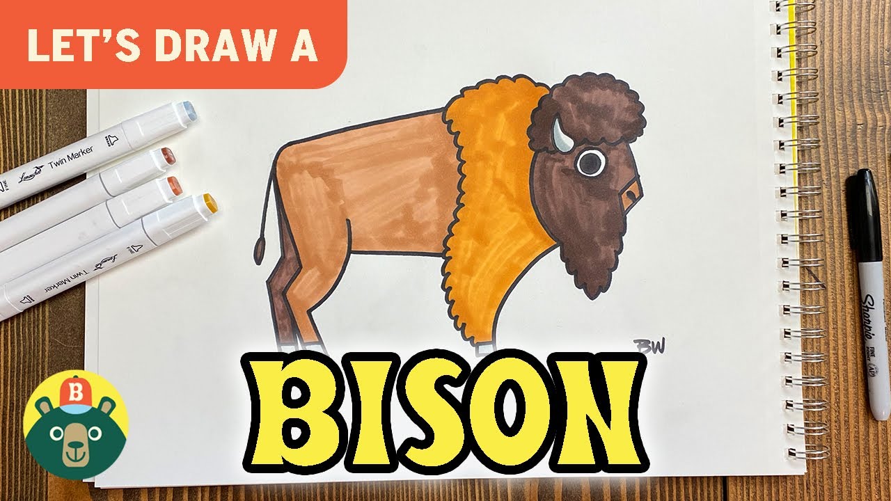 How to Draw a BISON! - [Episode 21]