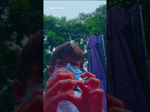 Die magische Tomate 🍅