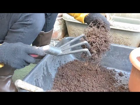 園芸 鉢植えの排水