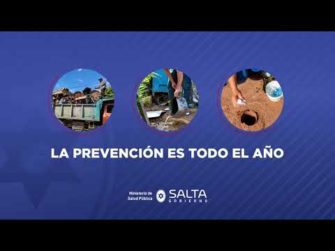 Salta se prepara para la nueva temporada de enfermedades transmitidas por mosquitos