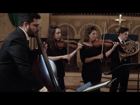 Wonder Boy - Patricia Palmero Alvarez - Inspiring Performance ✨