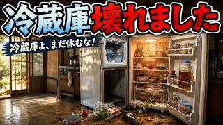 動画のサムネイル