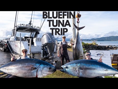 Epic NZ Adventure: Catching Massive Southern Bluefin Tuna!
