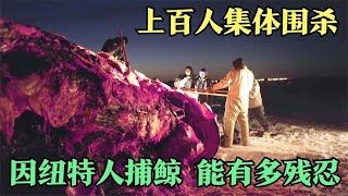 因纽特人捕鲸能有多狠，上百人集体围杀，残忍程度令人窒息！