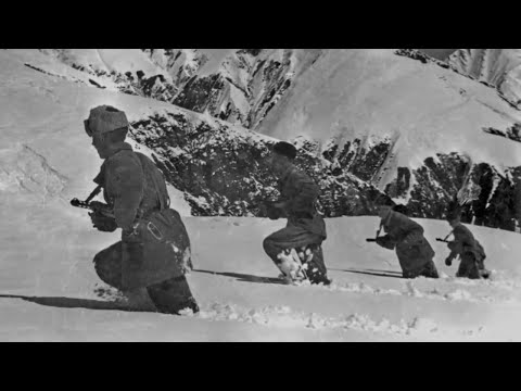 The Battle of the Caucasus