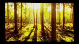 Hallways by Islands but in Reverse