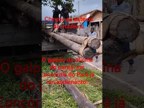 projeto da oficina do pardal em Concórdia do Pará saindo do papel já chegou os esteios!