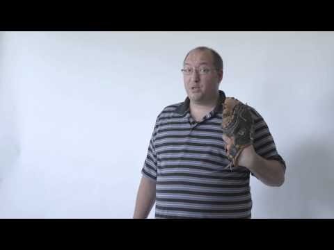 The More Knowledge You have (Puig)