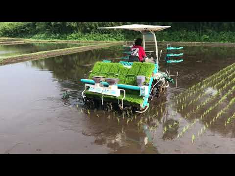 image-What is a rice transplanter used for?