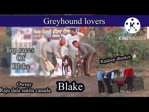 Blake।Top performance of Blake in 2022।Owner Raju dala।Dogs Lovers ।