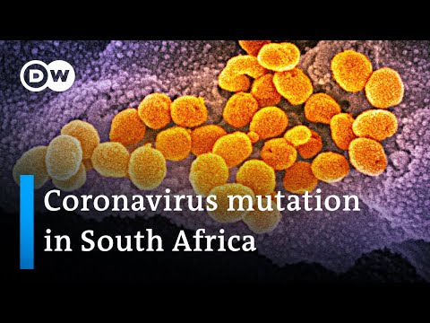 變異的冠狀病毒株導致南非的感染 - COVID更新 (Mutated coronavirus strain drives infections in South Africa | COVID Update)