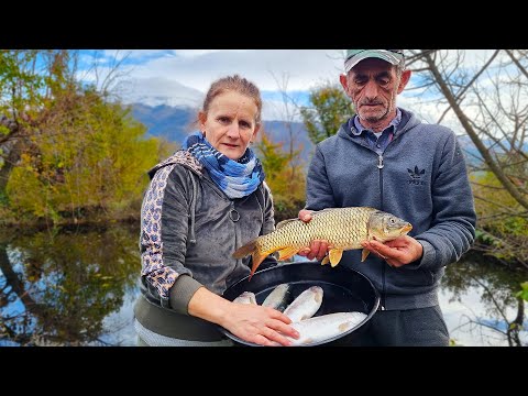 A huge CARP | Incredibly delicious fish steaks Cooked in the Village