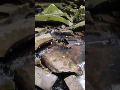 Incrível Cascata em Herveiras RS 18/10/2025