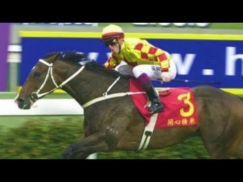 2005 The Hong Kong Gold Cup - Perfect Partner (開心精采) - C.Soumillon