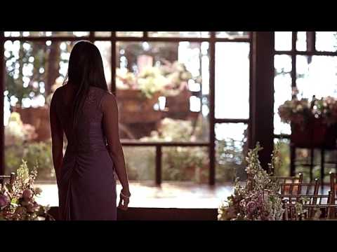 TVD: Damon and Elena, 6x21 - "I'm taking it."