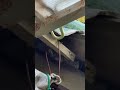 Close Up On Snake Moving Over Planks Shorts