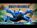Crab Rave Irreversible Version Edits
