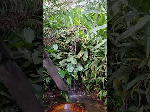 Fazenda Boa Sorte #hotel #luziania #brazil #nature #goias #beautiful #incredible #fantastic #tattoo