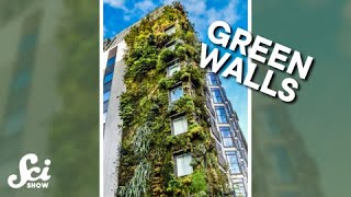 What do green walls really do? #shorts #science #SciShow