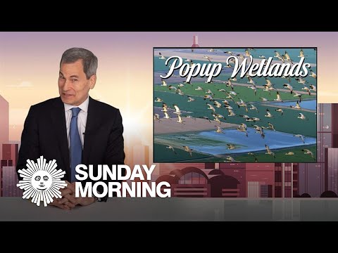 Good news you may have missed in 2025