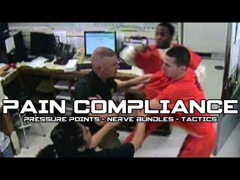 Attacking Pressure Points & Nerve Bundles | The Art of Pain Compliance