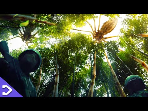 The SKIN CRAWLING Mother Long Legs (Monster Breakdown)