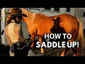 How To Saddle Up A Horse Important Tips Step By Step