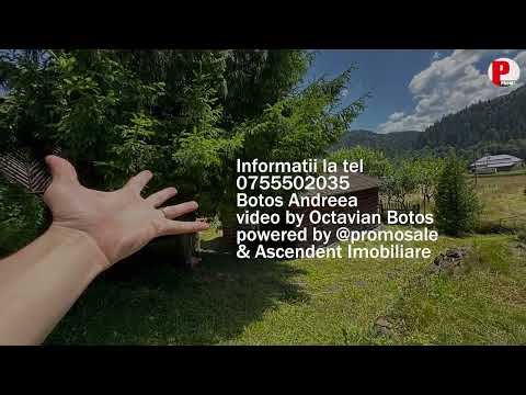 Cabana Lunca Bradului (De Vanzare)