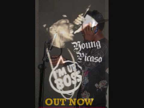 Picasso Nova - She be like @picassonova_