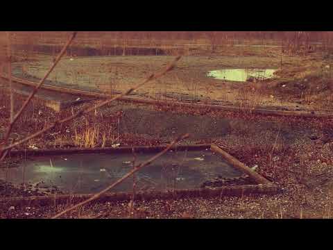 ART ALFIE # TRIPPFIGUREN (Unofficial HATTHOLMEN 181120 Video)