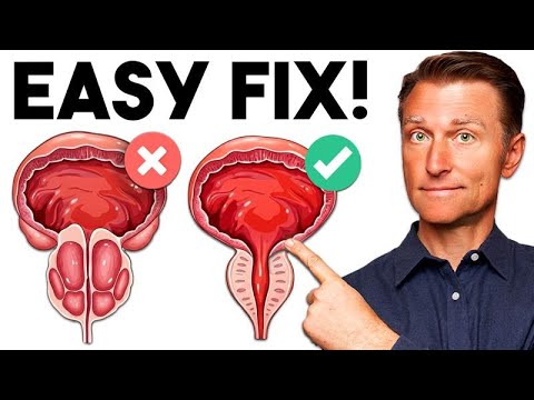 Dr. Eric Berg DC and Dr. Berg Shorts