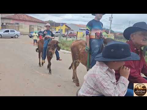 Desfile de cavaleiros, amazonas e bois de sela - Paróquia de Nª Sra da Piedade - Turvolândia MG 