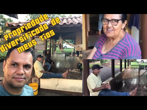 [SITIO MAIS ABUNDANTE DO BRASIL]😱Tio Nenê (74 anos)Revela Fartura e o Poço que Jorra Água Sem Bomba