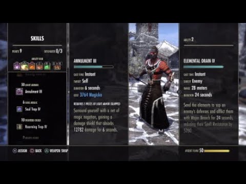 Duragon's Dragonknight Healer  Build