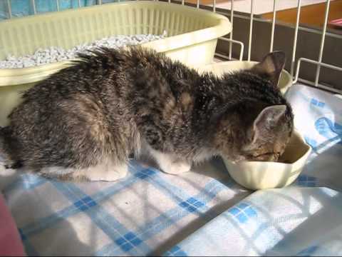 駐車場に落ちてた早いXmasプレゼント