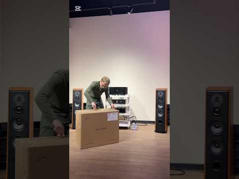 фото активная hi-end акустика swan speakers m500 0